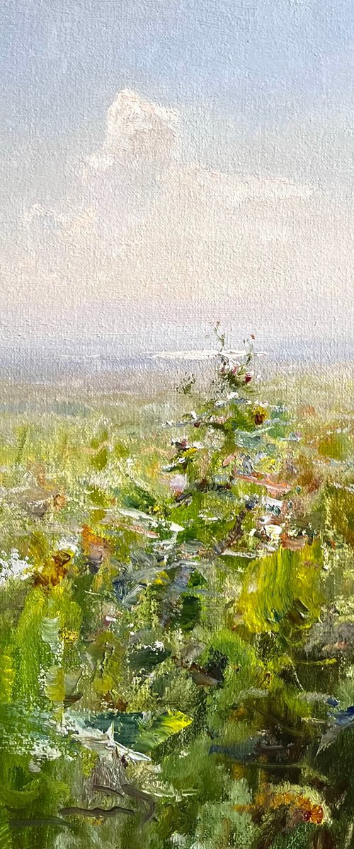 Sun in the steppe by Denys Gorodnychyi