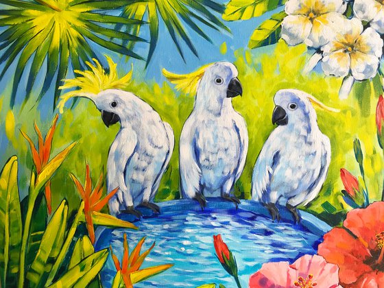 Oasis - Australian Landscape with Cockatoos