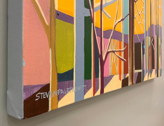 Mr. Cardinal In A Pre Dawn Glow