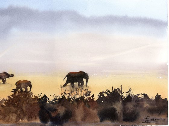 Evening Elephants