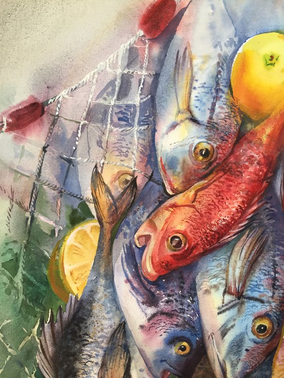 Dorado and perches. Watercolor fish.