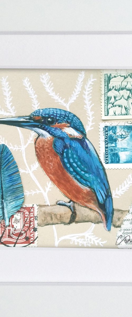The Kingfisher feather  (framed and ready to hang) by Carolynne Coulson
