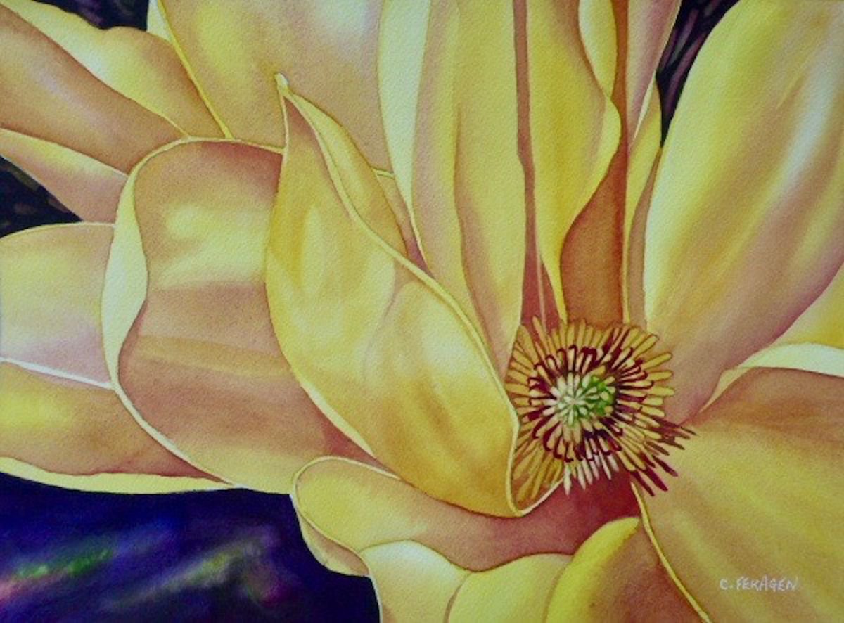 Yellow Magnolia by Cheryl Feragen