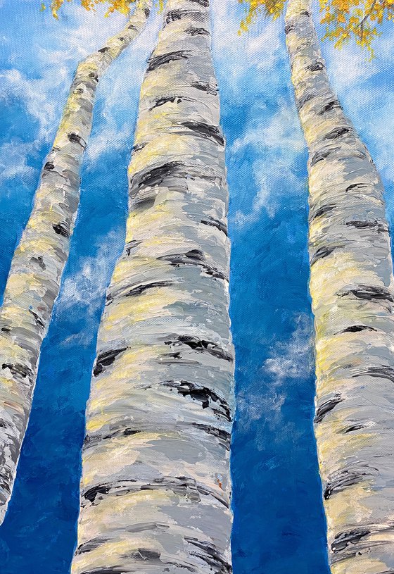 Yellow birches in the clouds