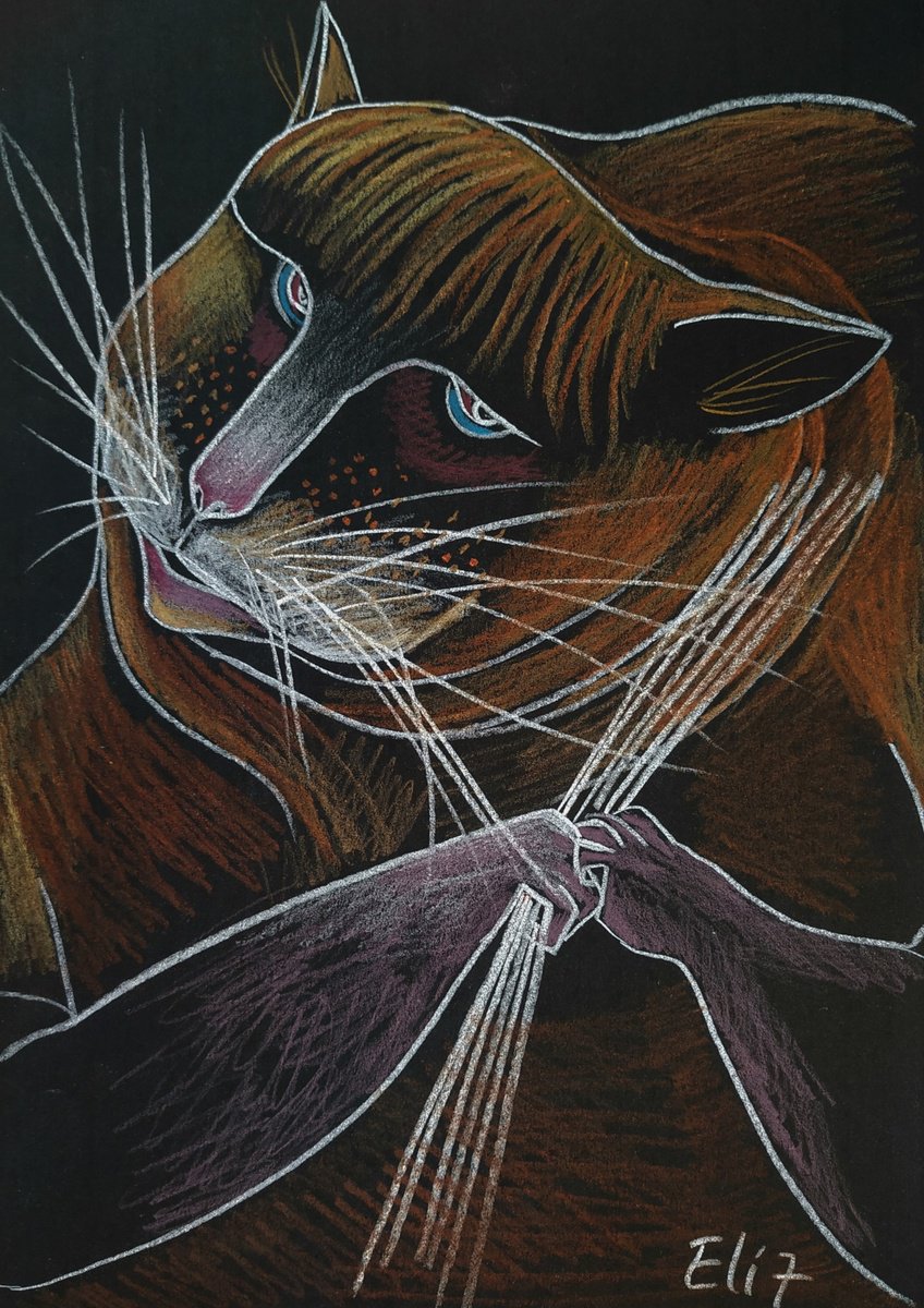 Expressive Animal Pencil Drawing By Elisheva Nesis, 9 X 13, The Chef, Original Artwork