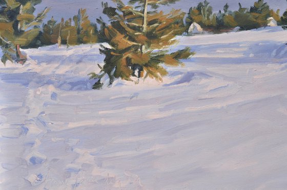 Mount Mézenc in snow, evening clouds