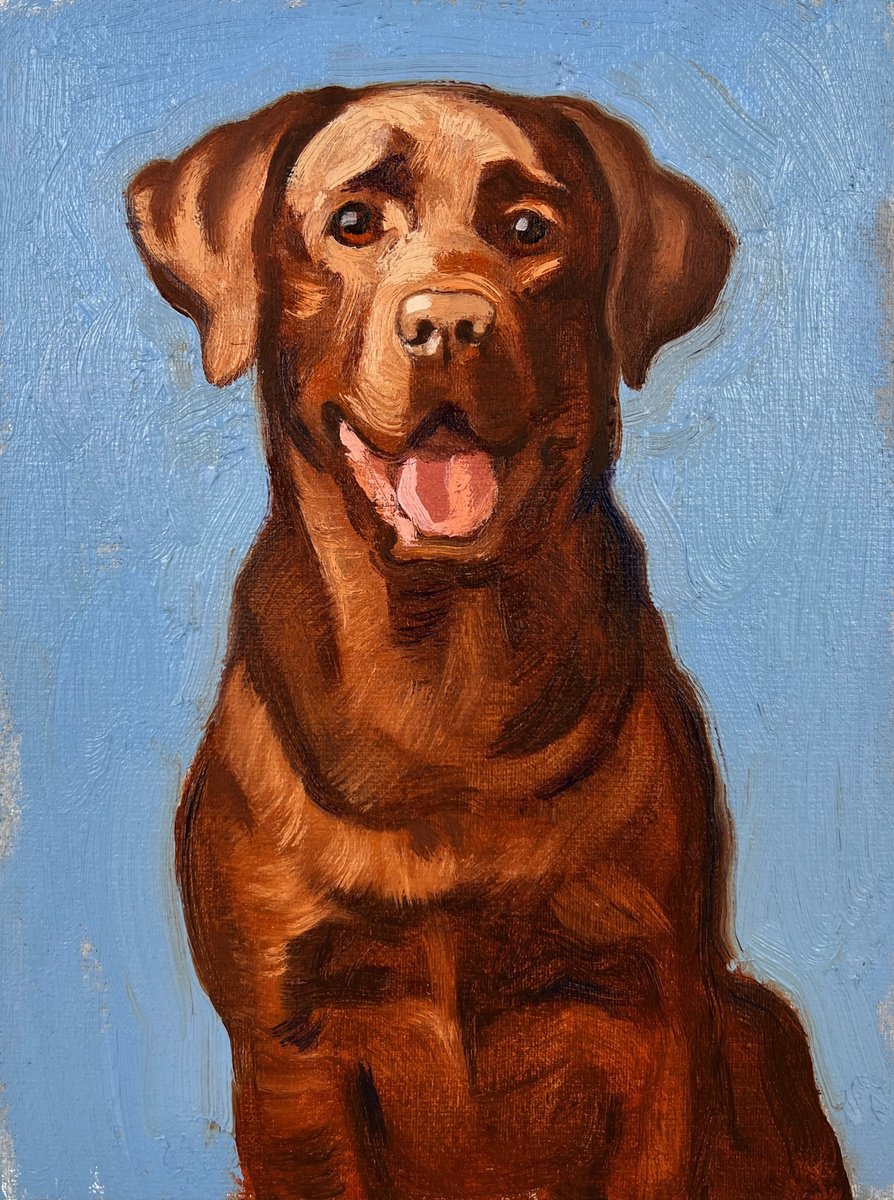 Chocolate Labrador by Elina Arbidane