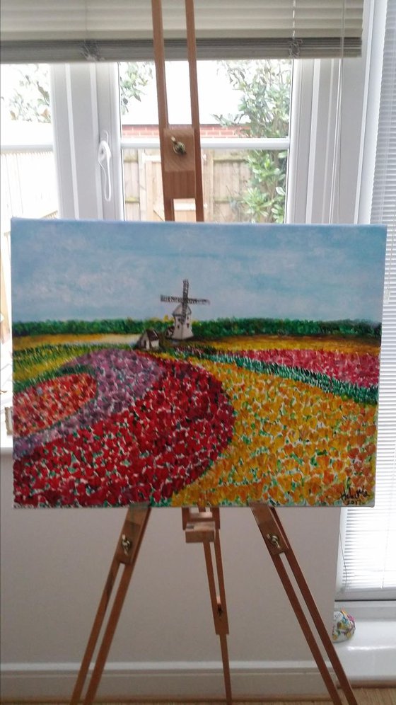 Wildmill with beautiful Tulip field in Holland