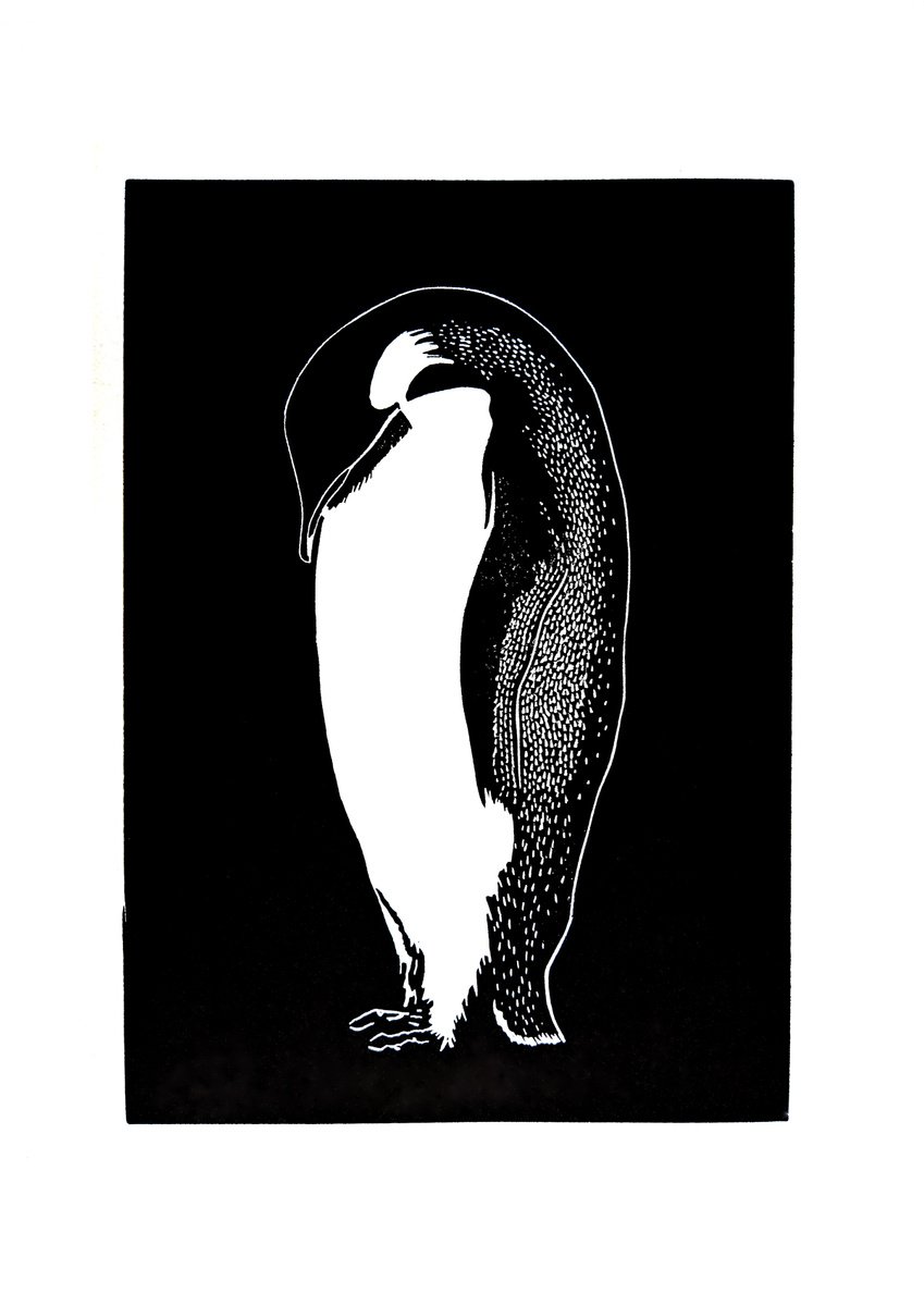 Penguin by Bob Cooper