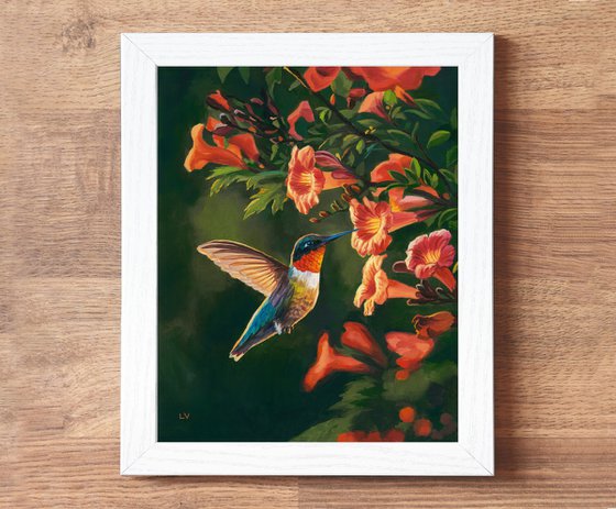 Hummingbird with trumpet vine