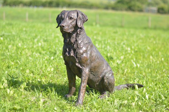 Golden Retriever Bronze Resin