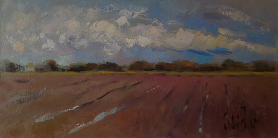 Sky and Red Ploughed Field