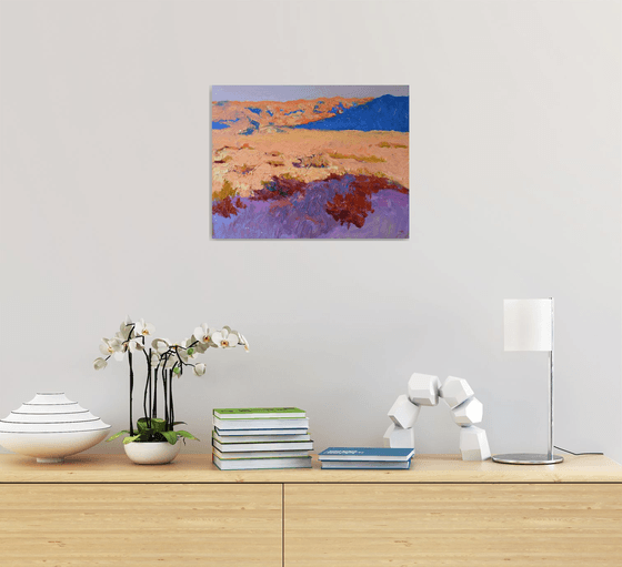 Evening Shades of the Desert