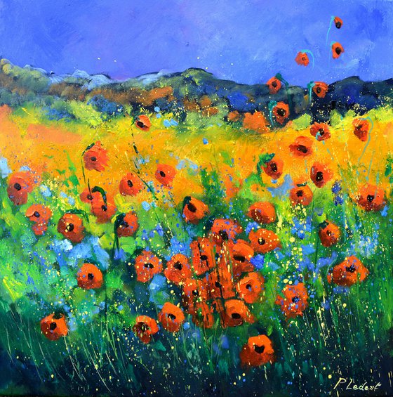 Flowers in Provence