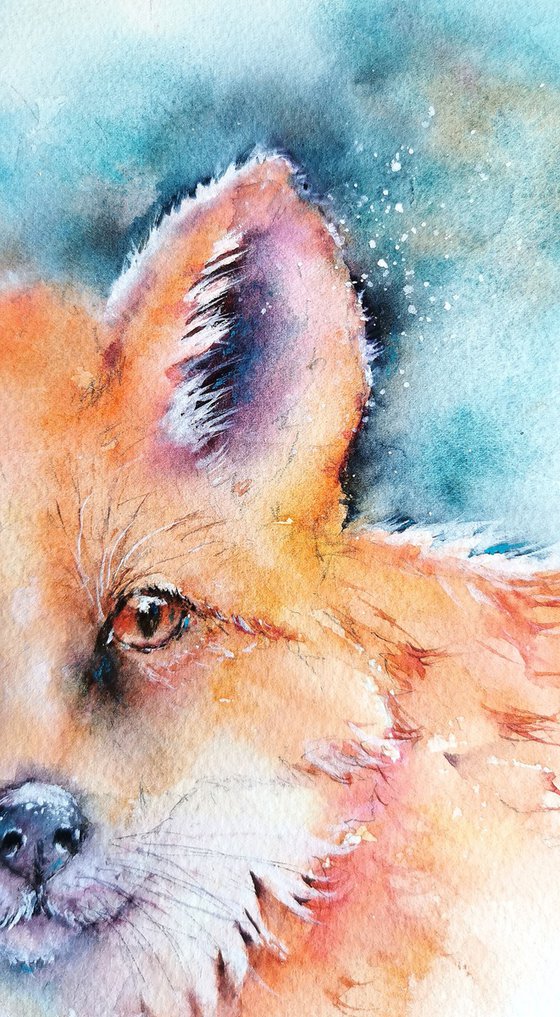 Red Fox