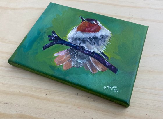 Hummingbird oil painting