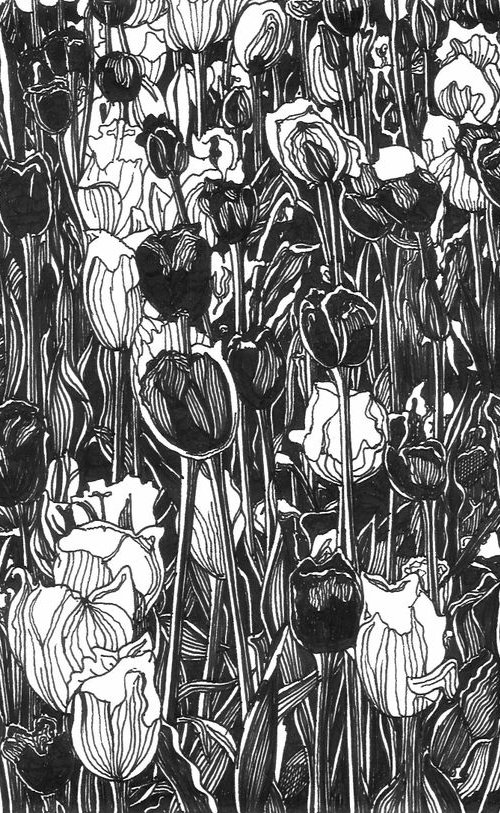 TULIP FEVER II by Nives Palmić