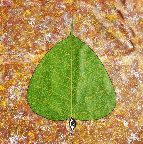 The Peepal Leaf by Sumit Mehndiratta