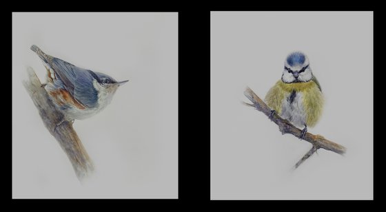 Nuthatch & Blue Tit (Set of 2)