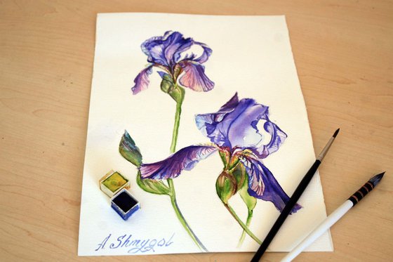 Purple irises Original watercolor painting, photorealistic stille, flowers, floral, botanical wall art