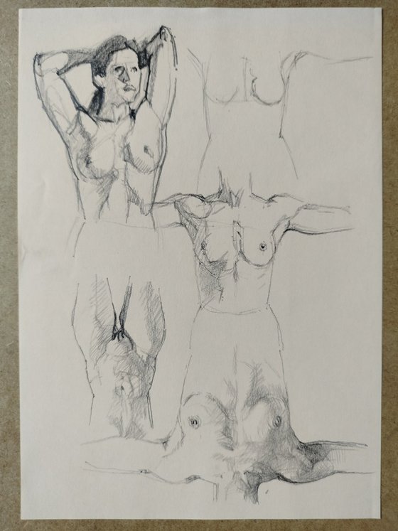 Sketch 11