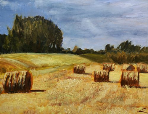 Haystacks in Westland by Elena Sokolova