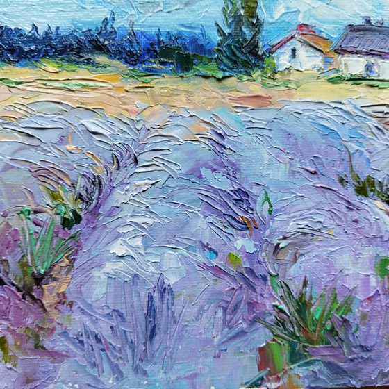 Scent of lavender field 20*30 cm