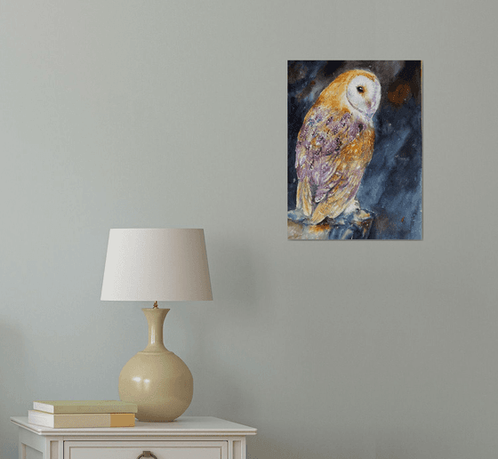 Barn owl Luke