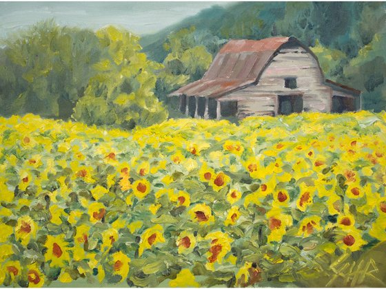 The Old Sunflower Barn