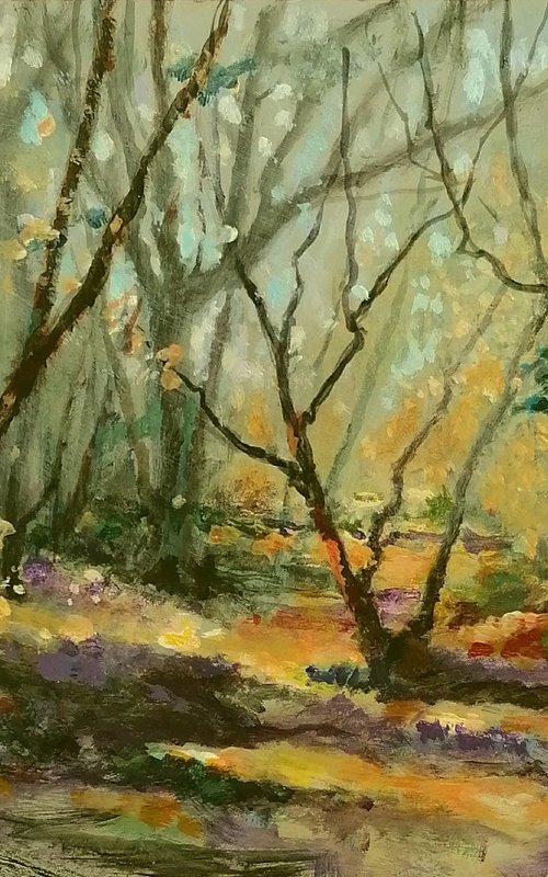 Bluebells woods by Alan Harris