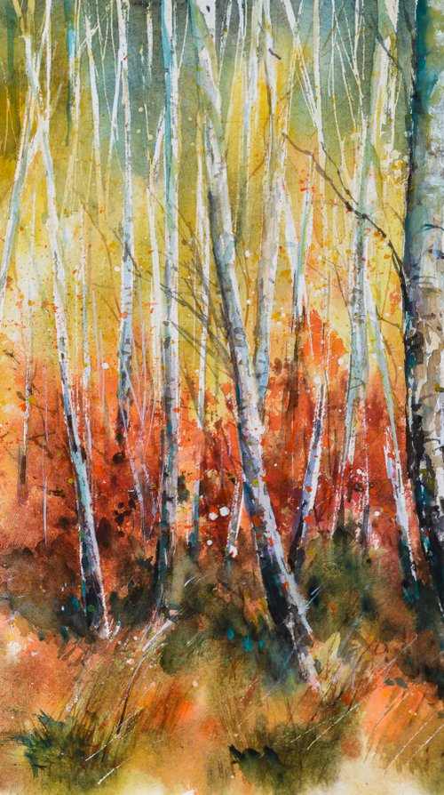 Birch forest by Eve Mazur