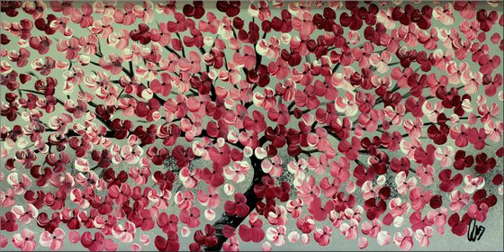 Blossom Wishes