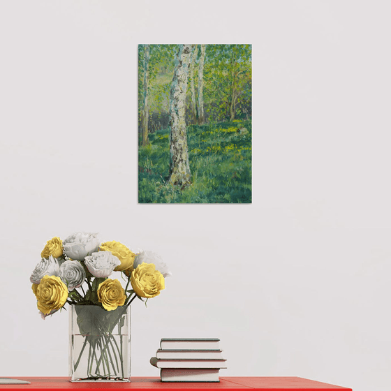 The Sunny Birch Forest