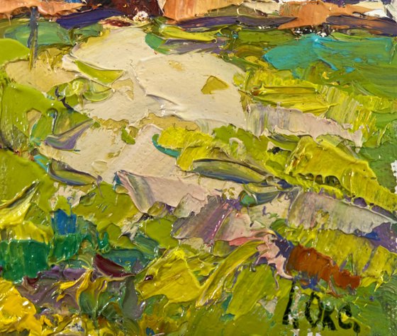 Quiet summer morning