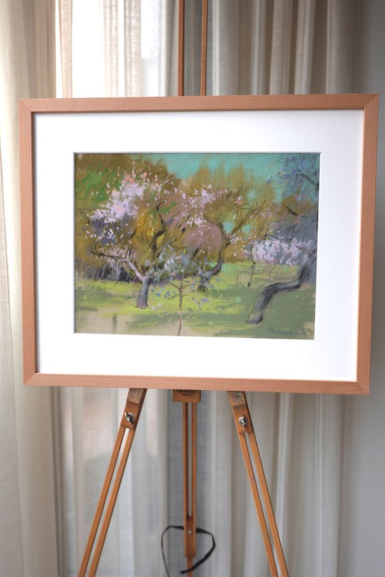 In a blossoming park