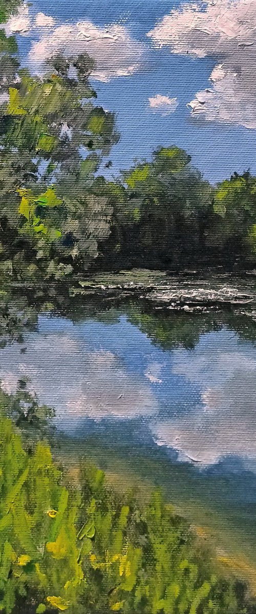 Impression. Bright day by Oleh Rak