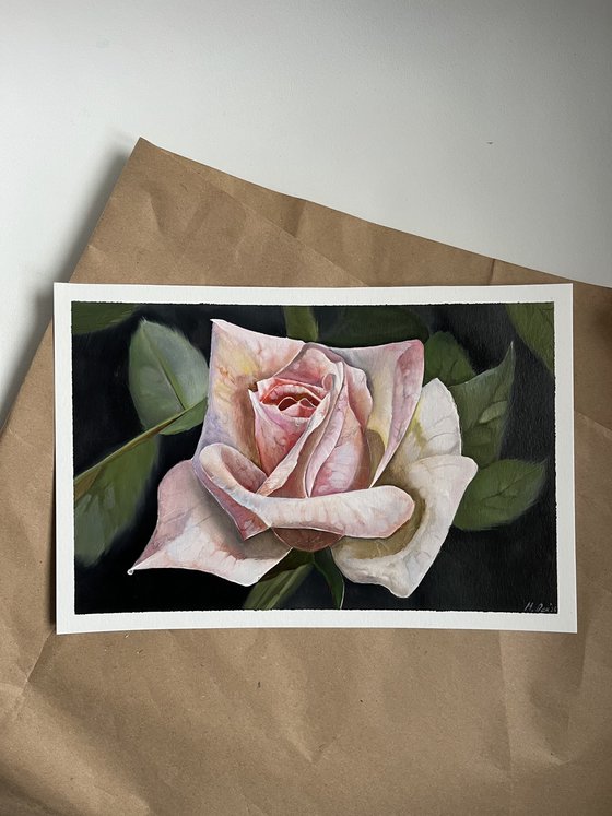 Rose postcard