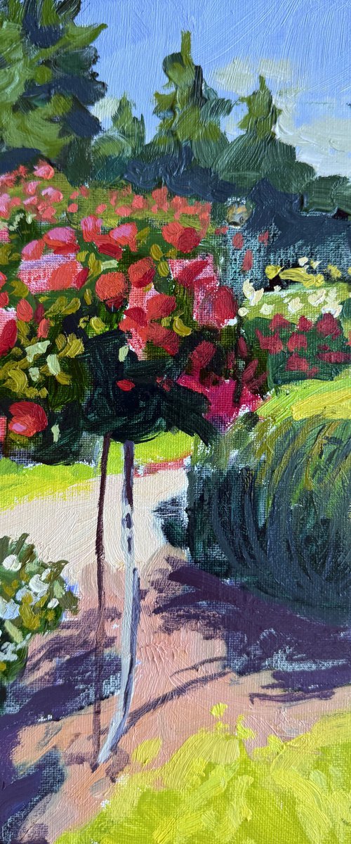Sunny roses by Kate Sosonna