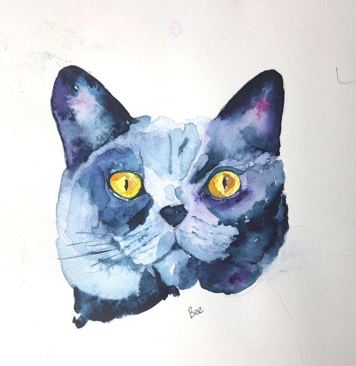 British blue cat by Bee Inch