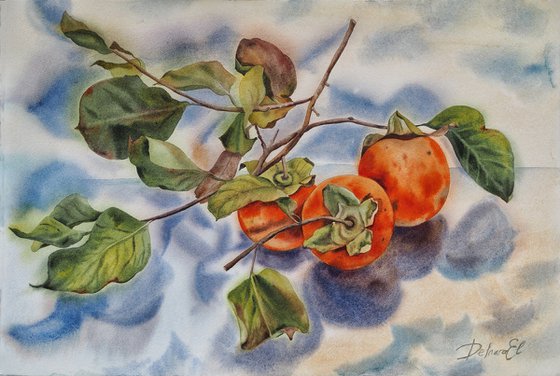 Persimmons season