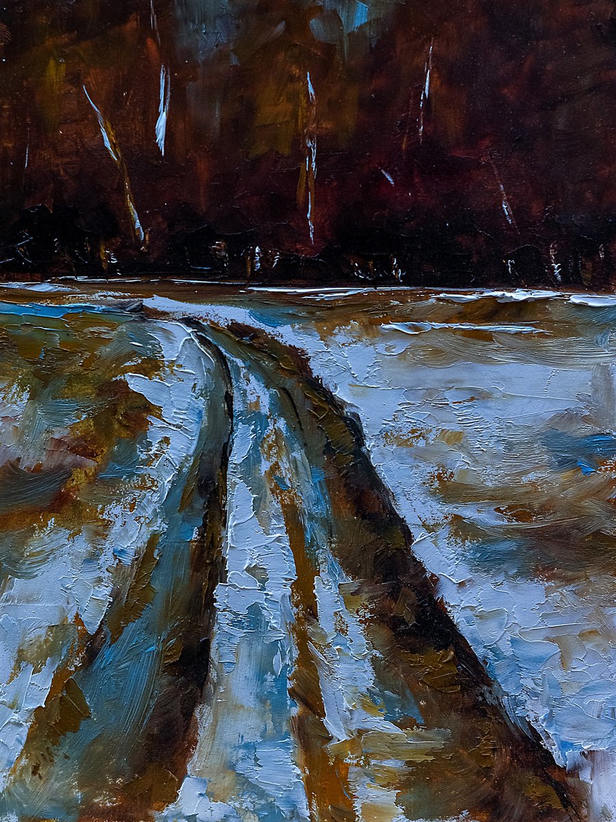 Winter landscape. Road in snow by Marinko Saric