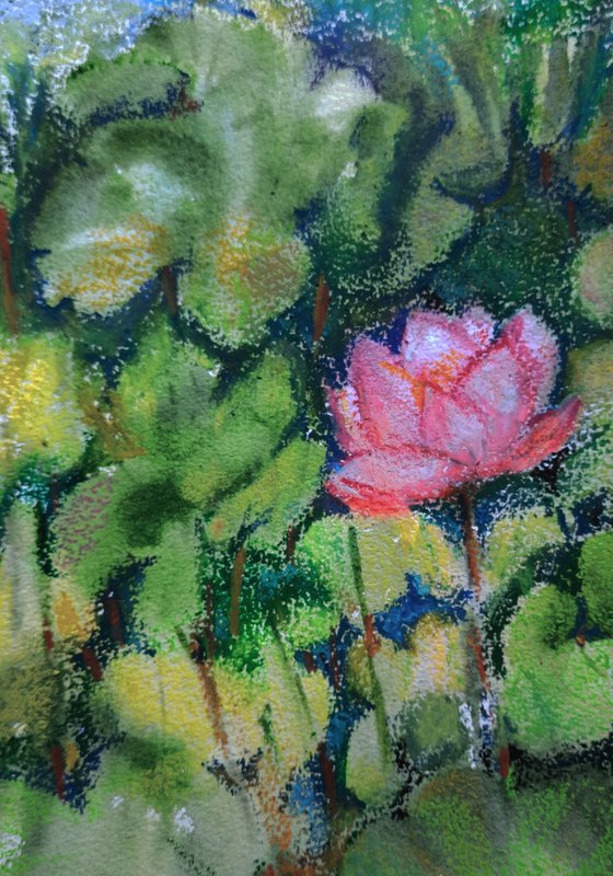 Set of Two Lotus Ponds