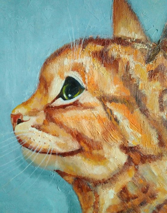 Red cat, 40x40 cm, ready to hang.