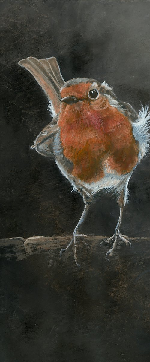'Ruffled Robin' by Nicola Colbran