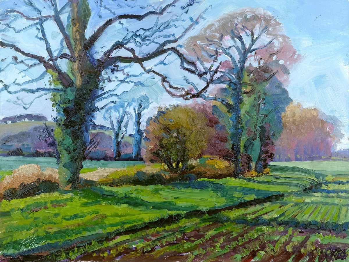 Autumn Fields, Hovingham by Jeff Parker