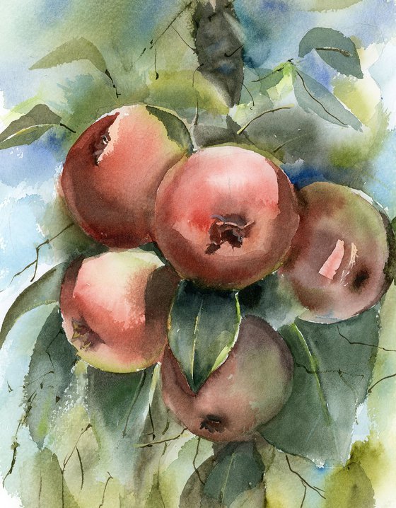 Apple Tree Branch - Original Watercolor