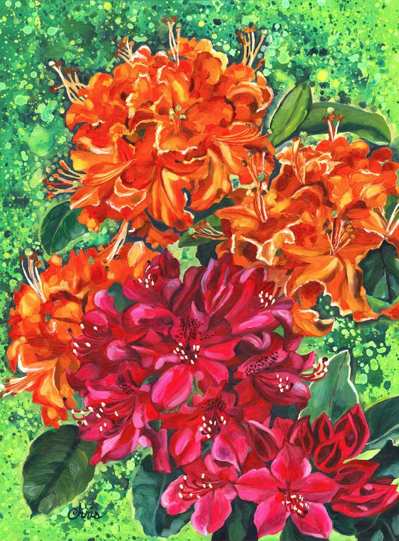 Double Trouble (Azalea & Rhododendron Blossoms)
