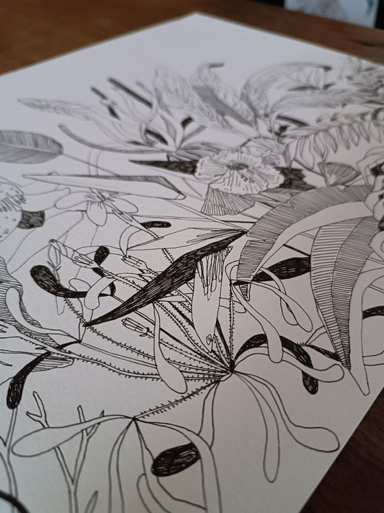 draw 25.0