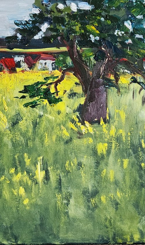 The last blossoms of the rapeseed field by Vera Stein