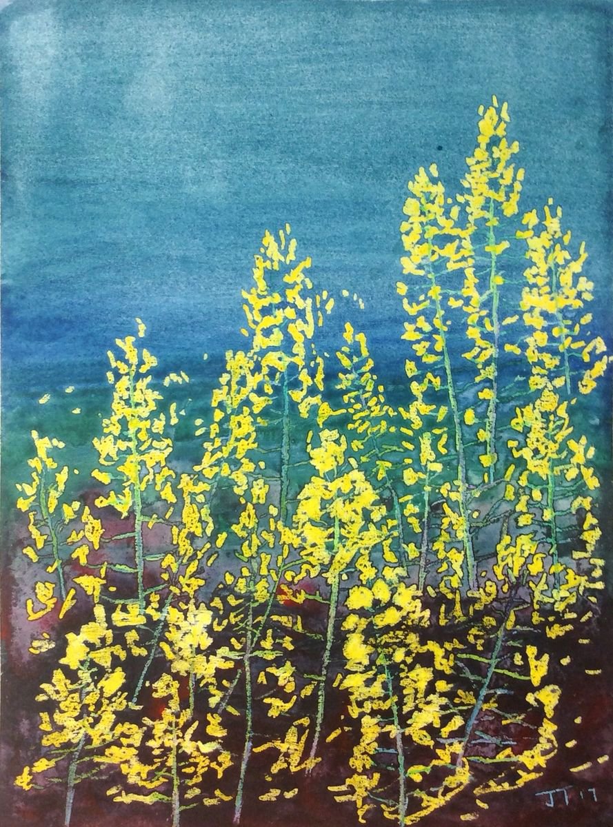 Yellow Bloom by Jing Tian